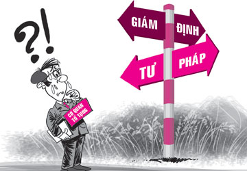 Công ty thám tử VDT – Hãng điều tra tư tín nhiệm tại Việt Nam